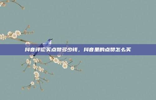 抖音评论买点赞多少钱,抖音里的点赞怎么买
