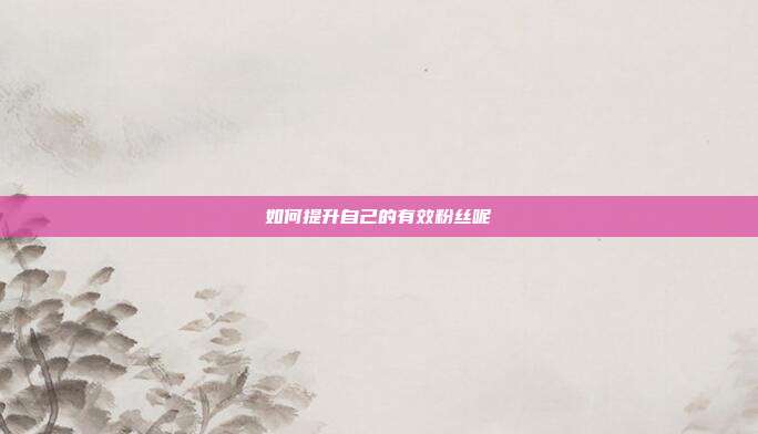如何提升自己的有效粉丝呢