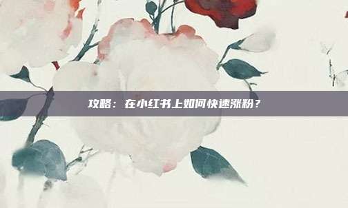 攻略:在小红书上如何快速涨粉?