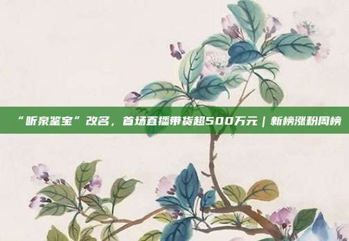 “听泉鉴宝”改名,首场直播带货超500万元|新榜涨粉周榜