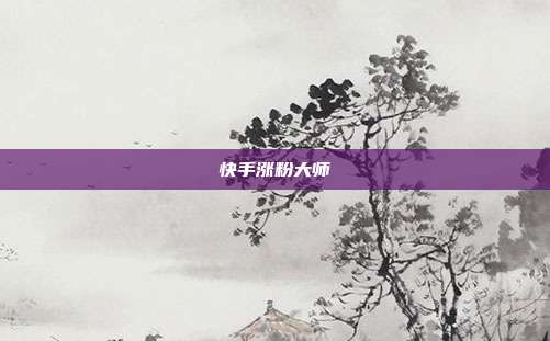 快手涨粉大师