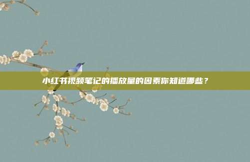 小红书视频笔记的播放量的因素你知道哪些?