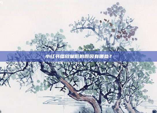 小红书播放量低的原因有哪些?