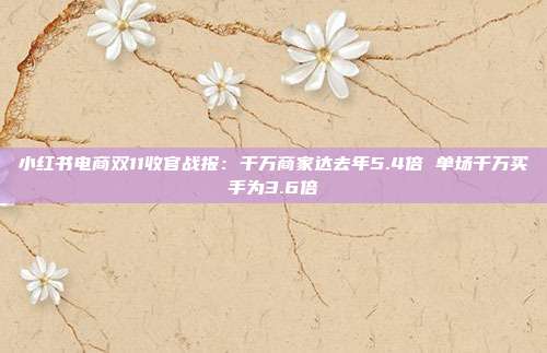 小红书电商双11收官战报:千万商家达去年5.4倍 单场千万买手为3.6倍