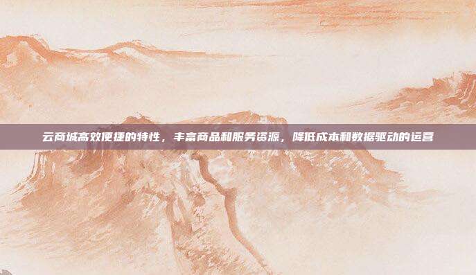 云商城高效便捷的特性,丰富商品和服务资源,降低成本和数据驱动的运营