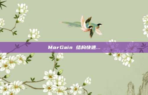 MorGain 结构快速...