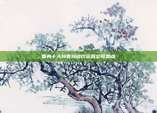 国内十大抖音抖店代运营公司盘点