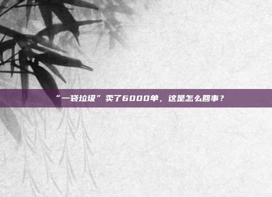 “一袋垃圾”卖了6000单,这是怎么回事?