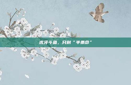 虎牙斗鱼，只剩“半条命”