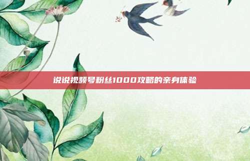 说说视频号粉丝1000攻略的亲身体验