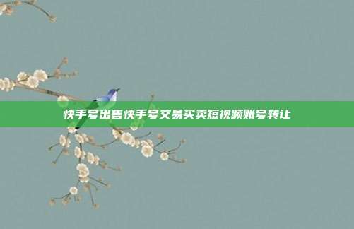 快手号出售快手号交易买卖短视频账号转让