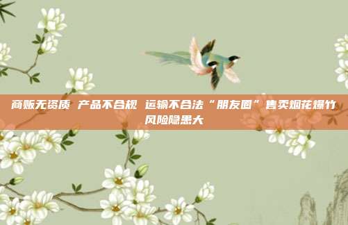 商贩无资质 产品不合规 运输不合法“朋友圈”售卖烟花爆竹风险隐患大