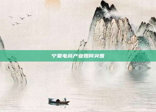 宁夏电商产业如何突围