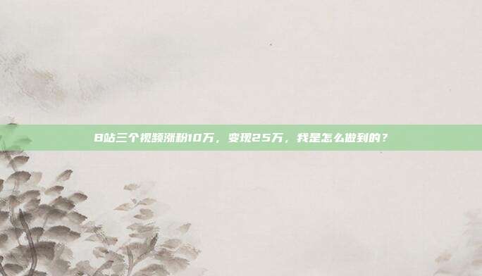 B站三个视频涨粉10万,变现25万,我是怎么做到的?