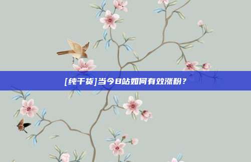 [纯干货]当今B站如何有效涨粉？