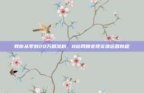 教你从零到20万精准粉,B站网赚变现实操运营教程