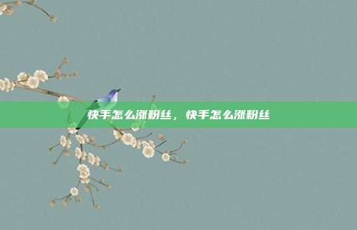 快手怎么涨粉丝,快手怎么涨粉丝