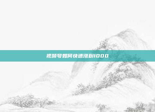 视频号如何快速涨粉1000