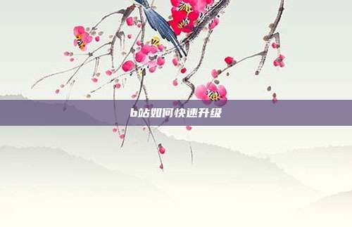 b站如何快速升级