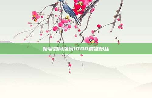 新号如何涨到1000精准粉丝
