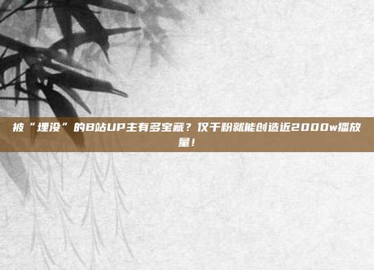 被“埋没”的B站UP主有多宝藏?仅千粉就能创造近2000w播放量!