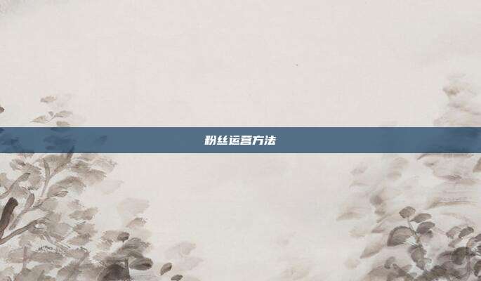 粉丝运营方法