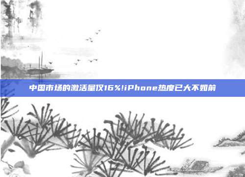 中国市场的激活量仅16%!iPhone热度已大不如前