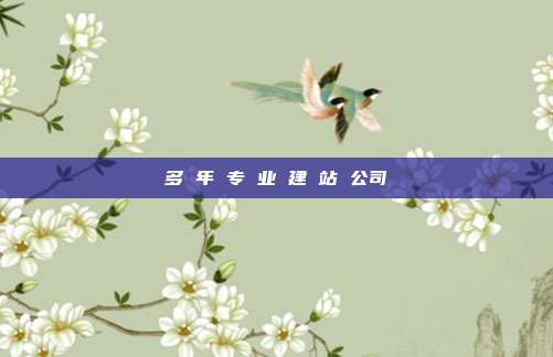 多 年 专 业 建 站 公司