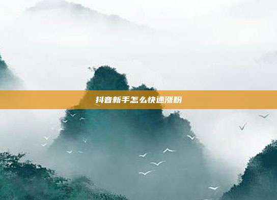 抖音新手怎么快速涨粉