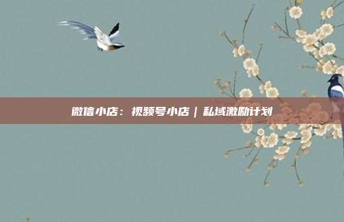 微信小店:视频号小店|私域激励计划