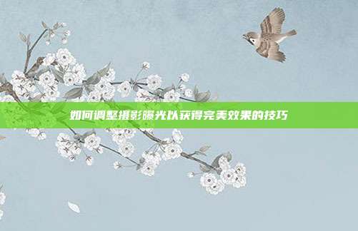 如何调整摄影曝光以获得完美效果的技巧
