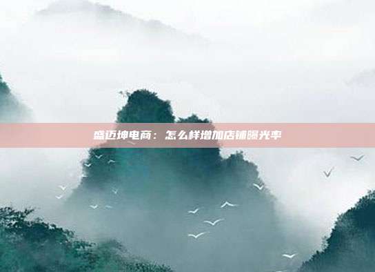盛迈坤电商:怎么样增加店铺曝光率