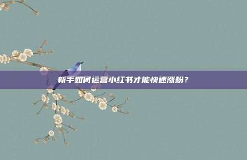 新手如何运营小红书才能快速涨粉?