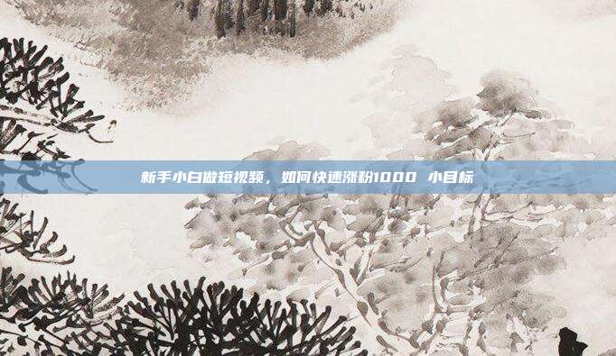 新手小白做短视频,如何快速涨粉1000 小目标