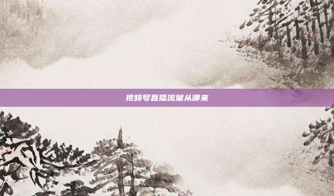 视频号直播流量从哪来