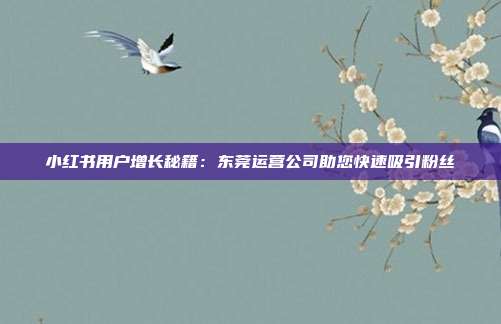 小红书用户增长秘籍:东莞运营公司助您快速吸引粉丝