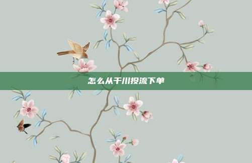 怎么从千川投流下单