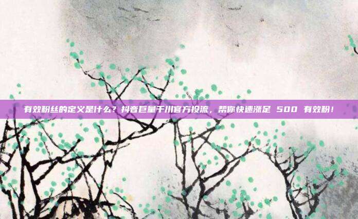 有效粉丝的定义是什么？抖音巨量千川官方投流，帮你快速涨足 500 有效粉！