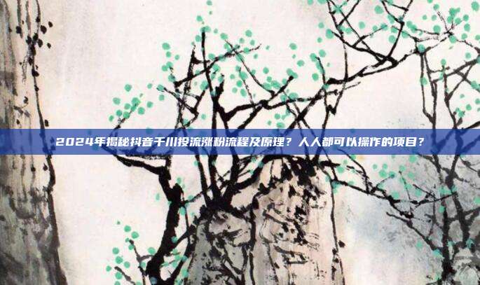 2024年揭秘抖音千川投流涨粉流程及原理?人人都可以操作的项目?