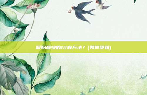 吸粉最快的10种方法?(如何吸粉)