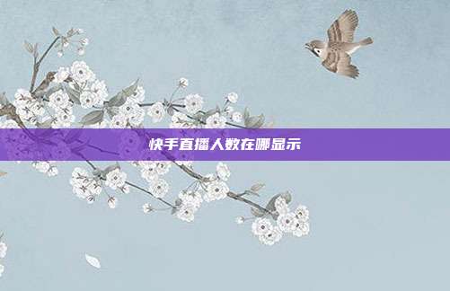 快手直播人数在哪显示