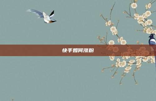 快手如何涨粉