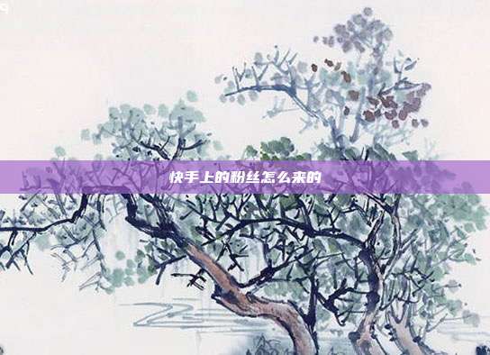 快手上的粉丝怎么来的
