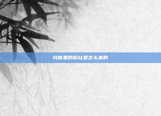 抖音里的粉丝是怎么来的