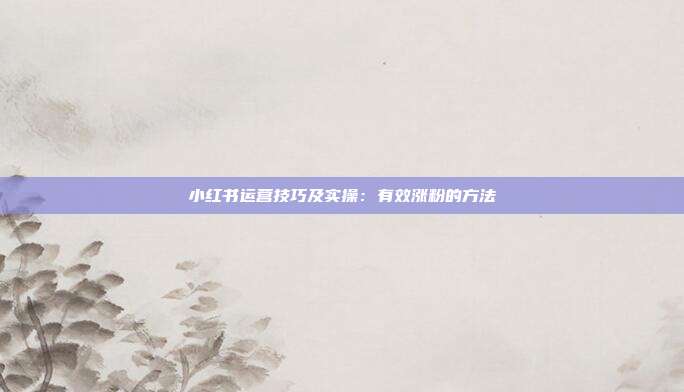 小红书运营技巧及实操:有效涨粉的方法