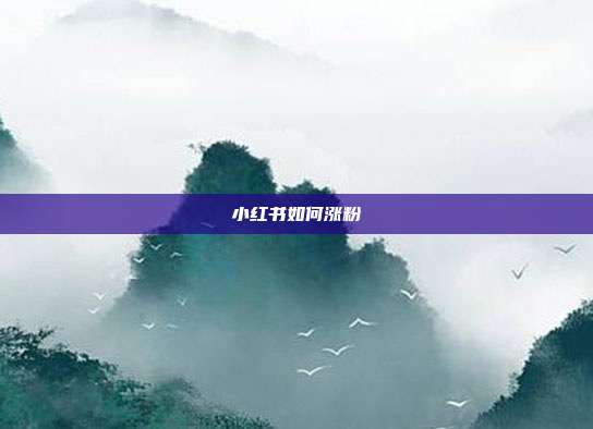 小红书如何涨粉