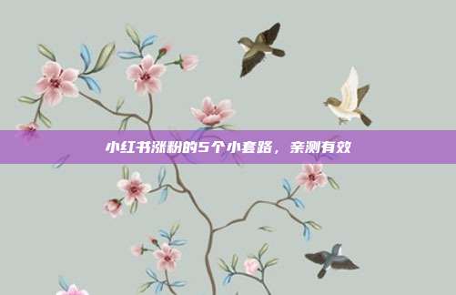 小红书涨粉的5个小套路,亲测有效