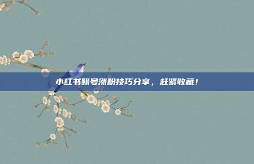 小红书账号涨粉技巧分享，赶紧收藏！