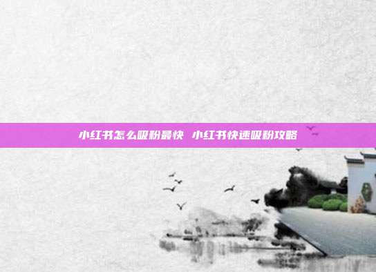 小红书怎么吸粉最快 小红书快速吸粉攻略