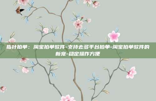 指针拍单:淘宝拍单软件-支持去多平台拍单-淘宝拍单软件的新宠-稳定操作方便